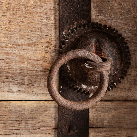 Тумба под ТВ PHALODI