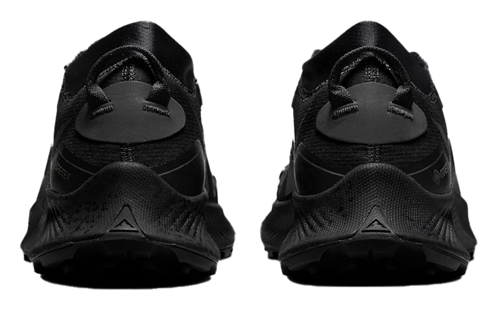 Кроссовки Nike Pegasus Trail 3 Gore-Tex "Black"