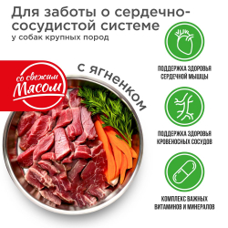 Корм сухой для взрослых собак крупных пород, премиум полнорационный комплекс, для сердечно-сосудистой системы, с ягненком, 2,5 кг, QUATTRO