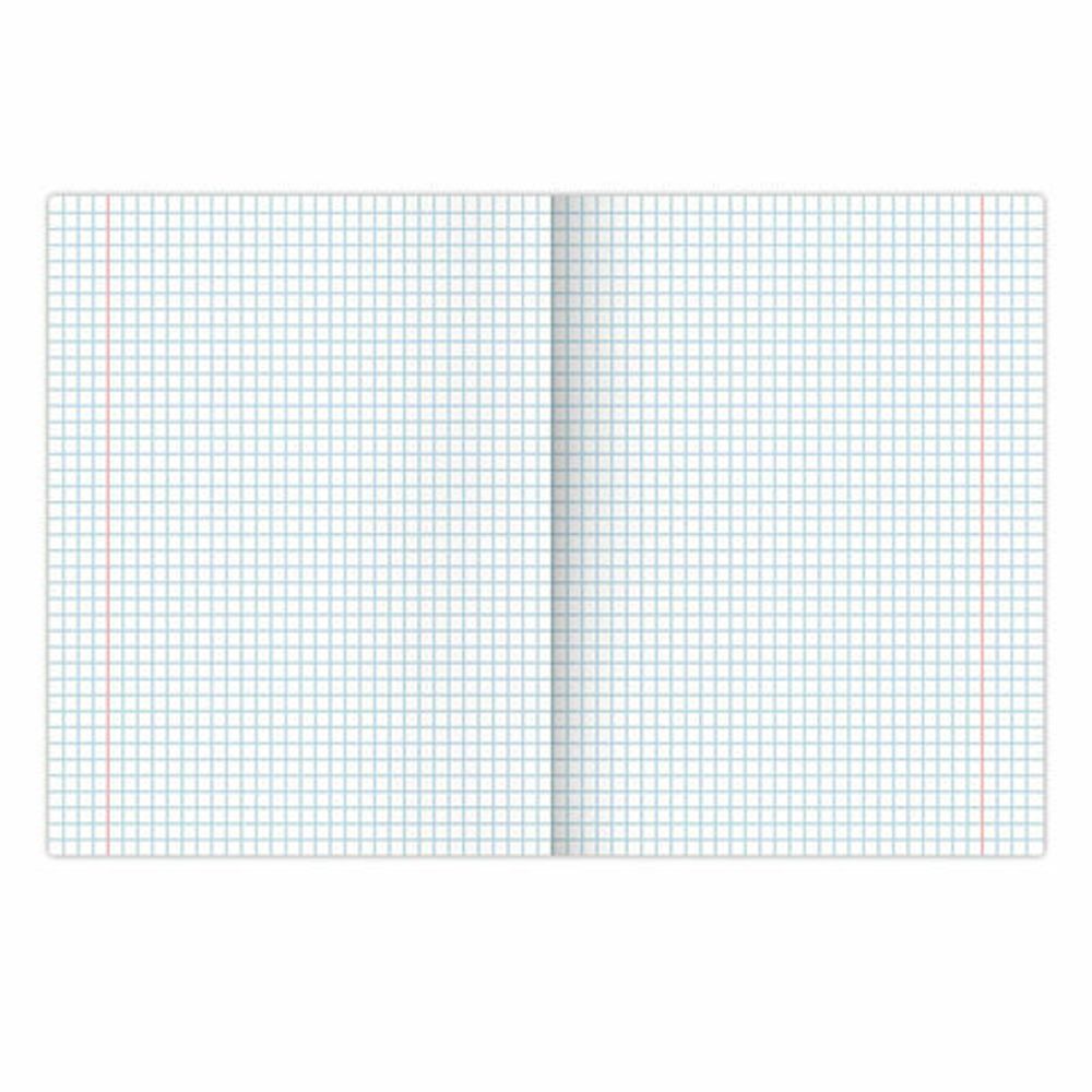 Тетради предметные, КОМПЛЕКТ 12 ПРЕДМЕТОВ, "КЛАССИКА NATURE", 48 л., обложка картон, BRAUBERG, 404605