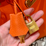 Hermes Birkin 25