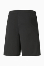 Шорты Puma teamLIGA