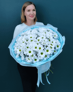 Кустовая хризантема Ромашка,15шт(00447)