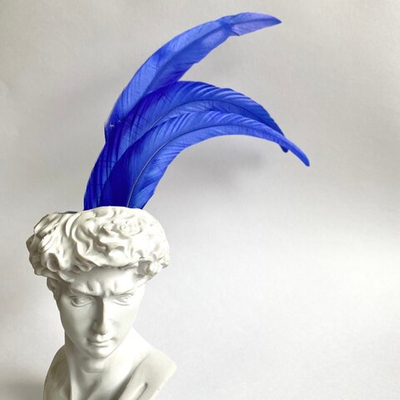 Перья петуха синие 30 -35 см. за штуку