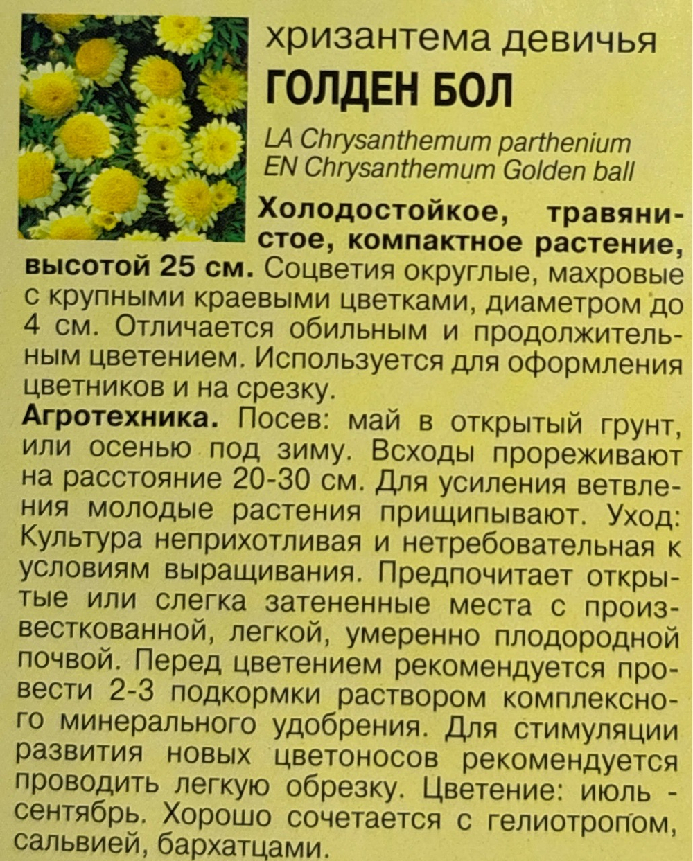 Хризантема Девичья Голден Бол 0,05 г СМЦ-336