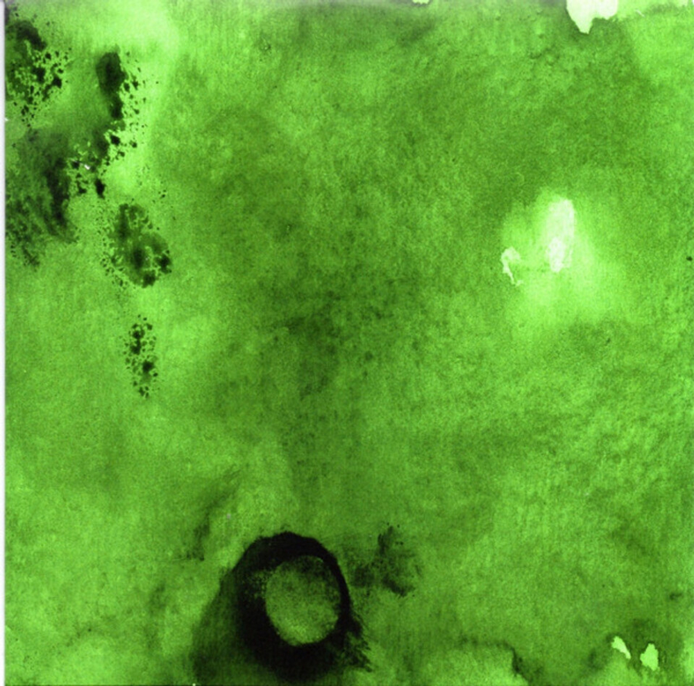 The Ocean Collective / Phanerozoic I: Palaeozoic (Limited Edition)(2CD+DVD)