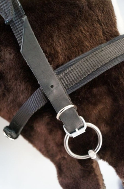 Узда ременная с люверсами