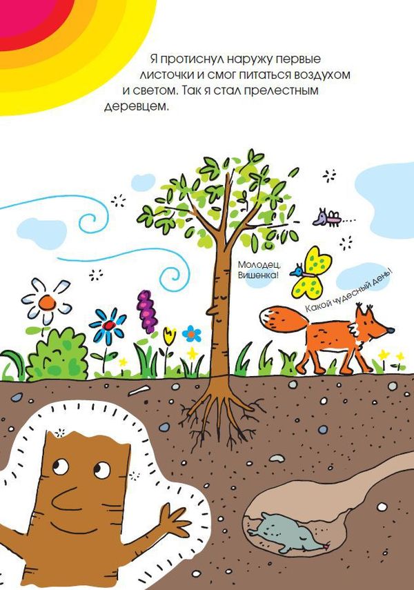 Жизнь и приключения синьора Вишни