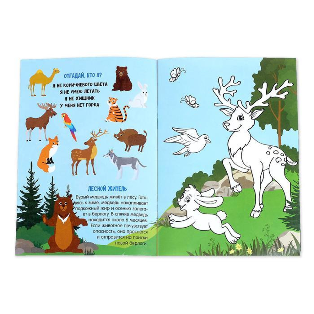 Активити книга с наклейками и растущими игрушками «Животные планеты»