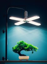 Фитолампа Фулл комфорт Лепесток 4, 24 Ватт, Е27