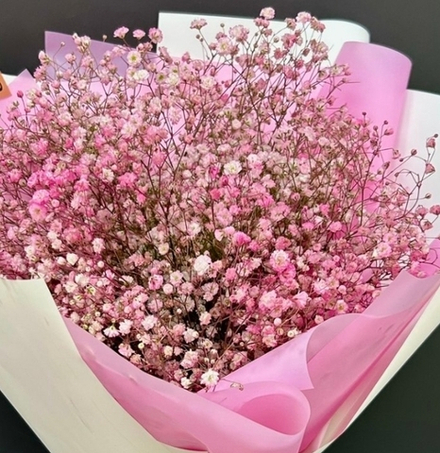 Букет из 15 веток гипсофилы розовой