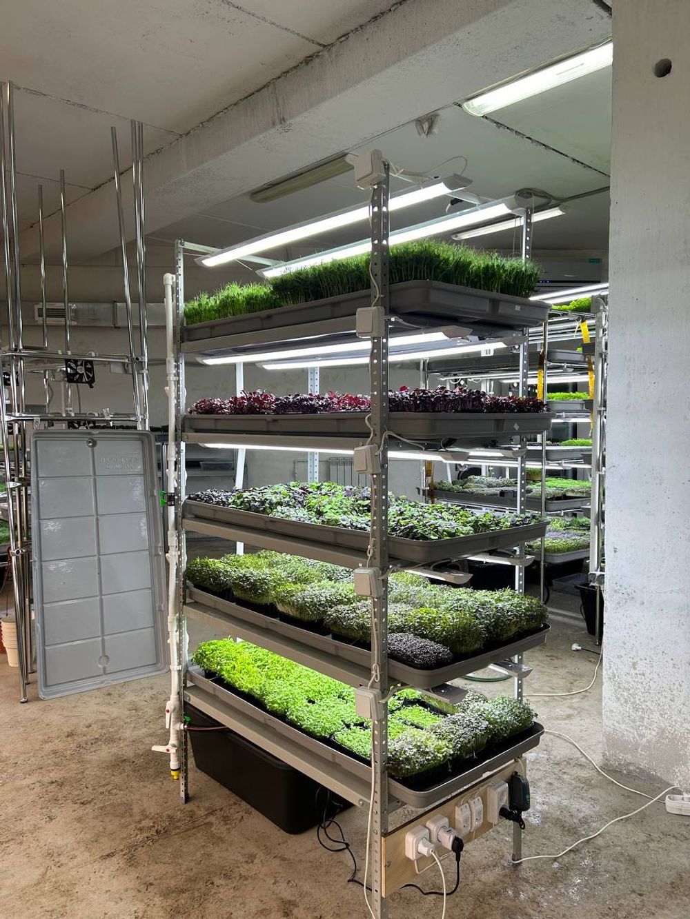 Гидропонная Установка Настенька