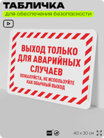 Табличка для обеспечения безопасности "Выход только для аварийных случаев", для офиса, по охране труда для предприятия, организаций, 40х30 см, Silver Plane x Айдентика Технолоджи