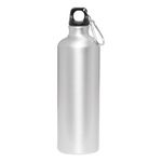 Алюминиевая бутылка BIG TRANSIT 750 мл