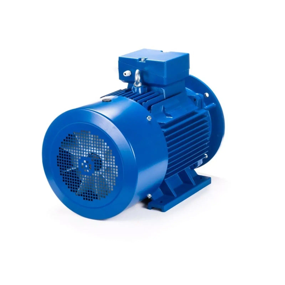 Электродвигатель ESQ 200 L4-SDN- 30/1500 IMB35