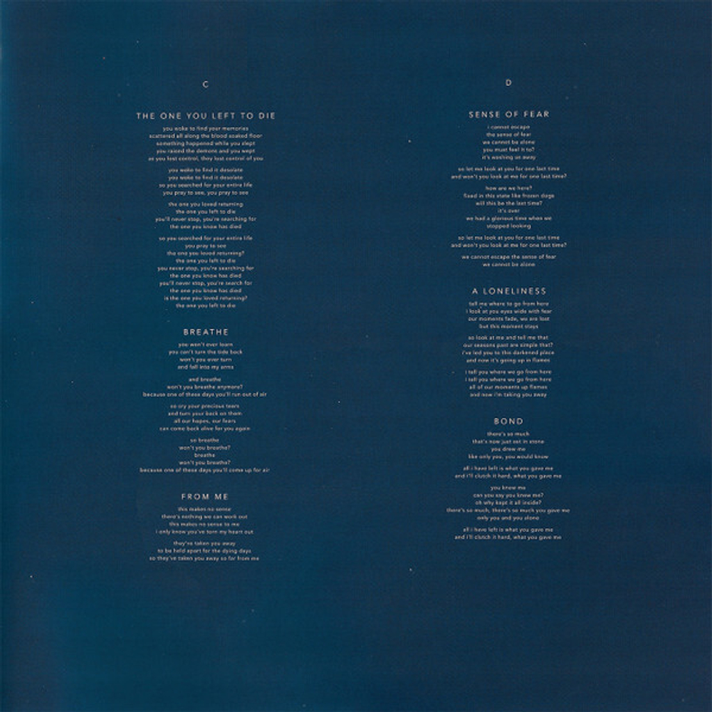 The Pineapple Thief / Magnolia (2LP)