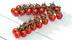 Белидо F1 семена томата индетерминантного (Syngenta / Сингента)