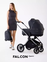 Коляска 2 в 1 Rant Falcon Therm