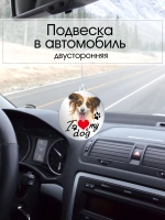 Подвеска в машину - Папильон (Папийон)