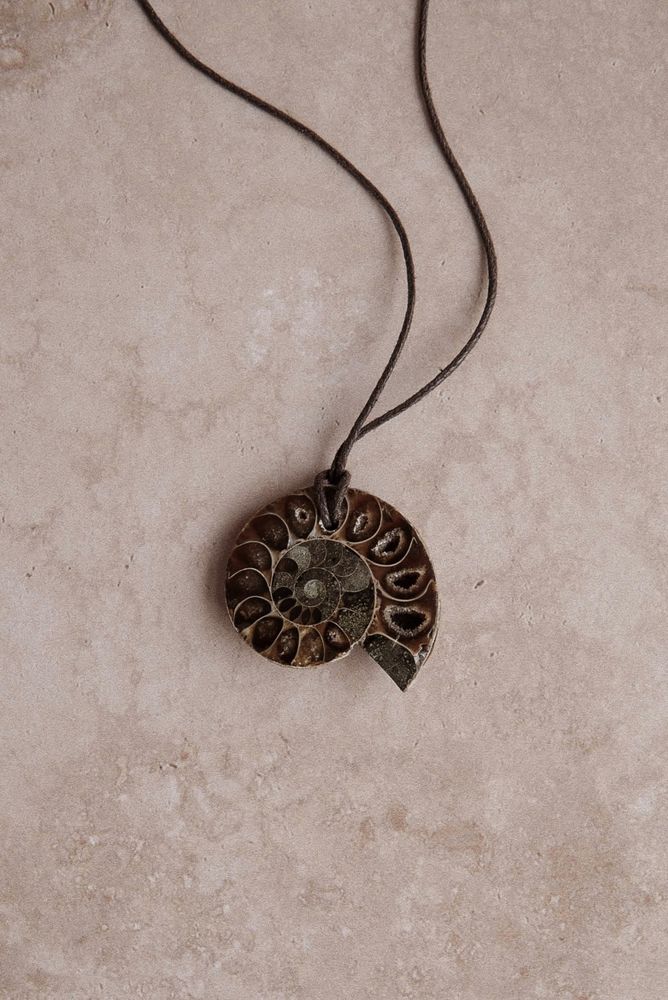Чокер ammonite / Inci Ask
