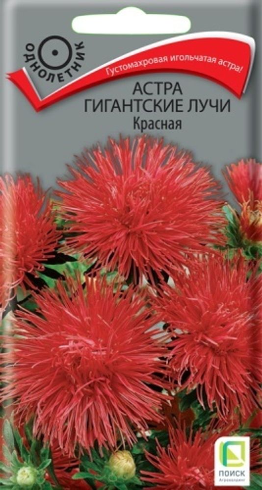 Астра Гигантские лучи Смесь окрасок 0,3гр Поиск