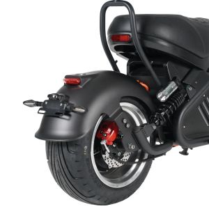 Электроскутер Mangosteen M2 60V2000W30A