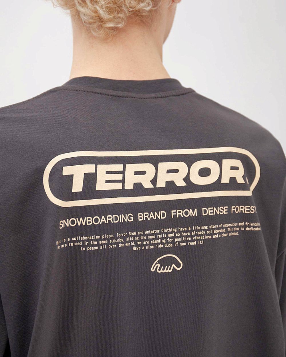 Лонгслив Anteater x Terror Snow Серый