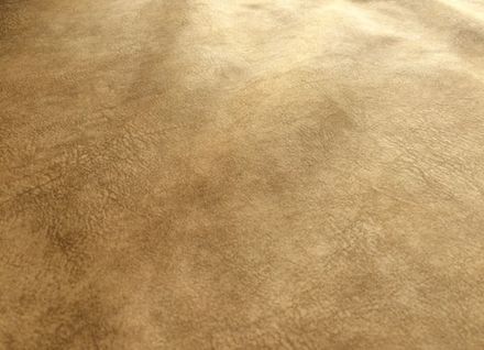 Коллекция Ламбре