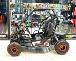 Багги SCANMOTO RAPID красный (электро)