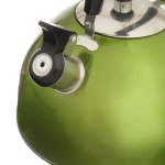 Чайник нерж, 3 л, свист, зеркал, ручк пластик, Daniks, индукц, зел, MSY-021G