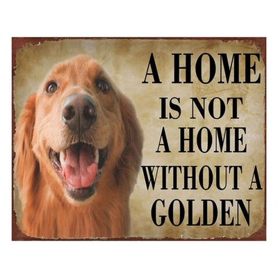 Табличка декоративная "Золотистый ретривер" 25x1x20см Металл