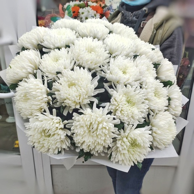 Букет из 25 хризантем сорта "Антонов"