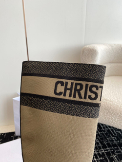 Christian Dior D-Major Boot