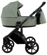Детская коляска Roan Bass Next 2.0 3 в 1 с автокреслом Pituso Santiso Pro Black BSN/43/2 Sage Green/Black/руч.Black