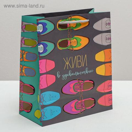 Пакет ламинированный вертикальный «Живи в удовольствие», ML 23 × 27 × 11,5 см.