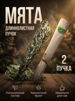 Мята длиннолистная пучок, 2 шт.