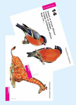 Комплект таблиц "Русский алфавит"; 4 таблиц+224 карт.