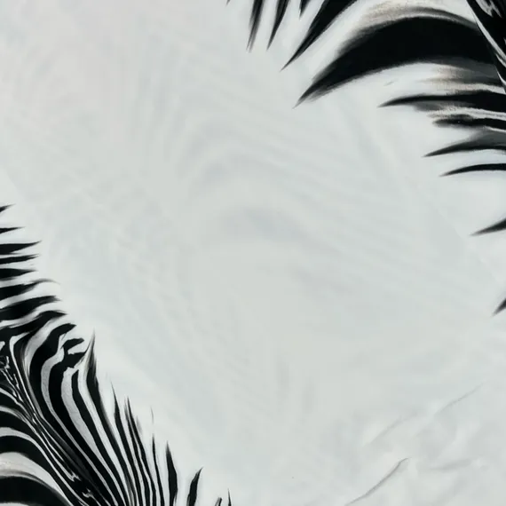 Бифлекс принт зебра, Германия (купон)