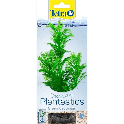 Tetra Green Cabomba 1 (S) Растение аквариумное "Камомба зеленая" 15 см