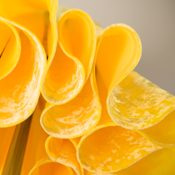 магазин танцевальной одежды