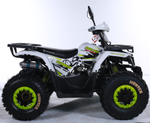 Квадроцикл TAO MOTOR HUNTER New 125