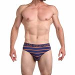Мужские трусы брифы синие в полоску Sergio Dallini SG2937-3