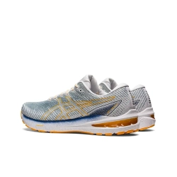 Мужские кроссовки ASICS GT-2000 10 'Light Steel Amber' 1011B185-404