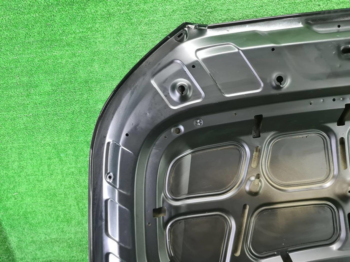 Капот Hyundai Palisade (2018-н.в.)