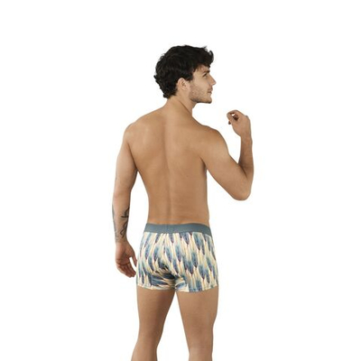 Мужские трусы-боксеры с оригинальным принтом Sprout Boxer (Размер: S) (Цвет: разноцветный)