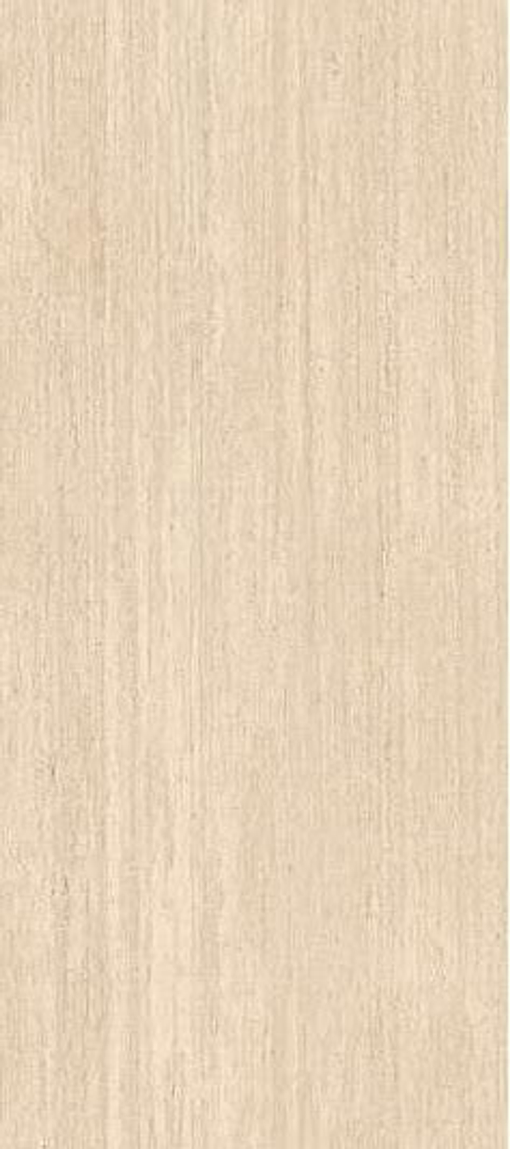 Taranto Bone Texture 120x270