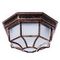 Уличный светильник Arte Lamp Pegasus A3100PL-1AC