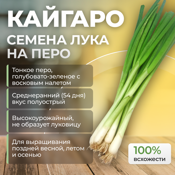 КАЙГАРО семена лука на перо (Enza Zaden) купить