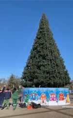 Уличная елка ствольная "Альпийская" (пвх) 21 м