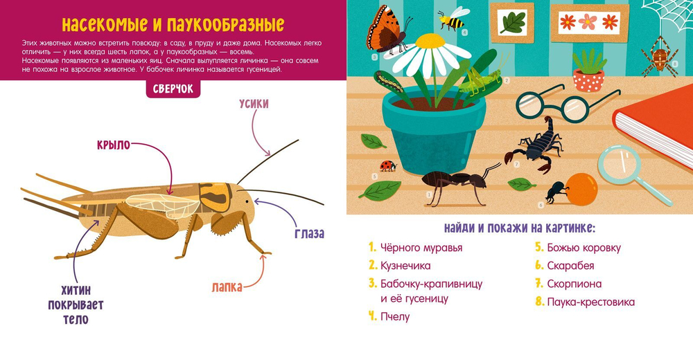Животные. Визуальный словарь